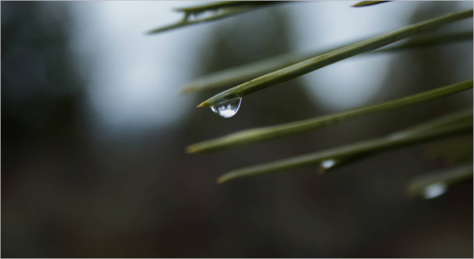 bruit goutte d'eau arthur